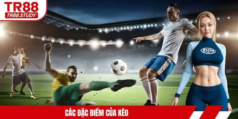 Cách Chơi Kèo Rung TR88 - Bỏ Túi Kinh Nghiệm Cá Cược Hay - DIAMOND88.SBS