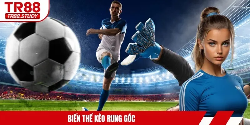 Cách Chơi Kèo Rung TR88 - Bỏ Túi Kinh Nghiệm Cá Cược Hay - DIAMOND88.SBS