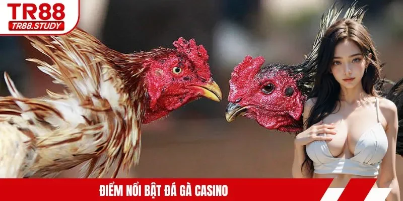Đá Gà Casino TR88 - Trải Nghiệm Kịch Tính Từng Giây Phút - DIAMOND88.SBS