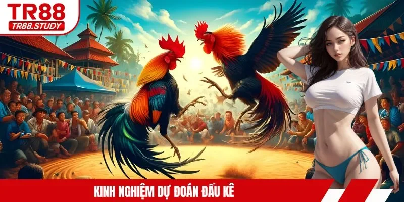 Đá Gà Casino TR88 - Trải Nghiệm Kịch Tính Từng Giây Phút - DIAMOND88.SBS