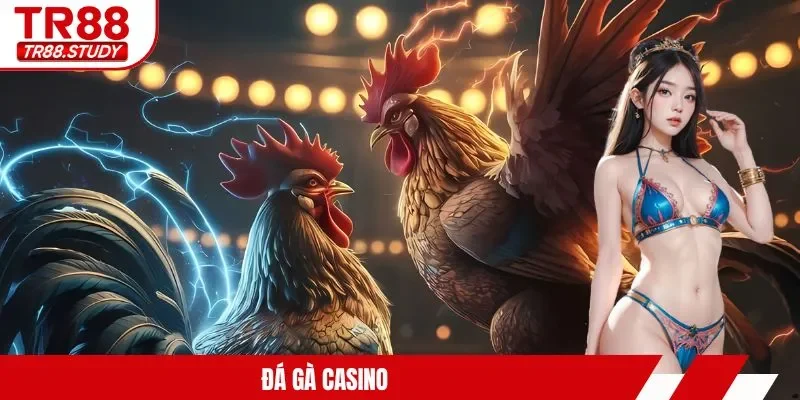Đá Gà TR88 – Tìm Ra Chiến Kê Và Các Trận Chiến Kịch Tính - DIAMOND88.SBS