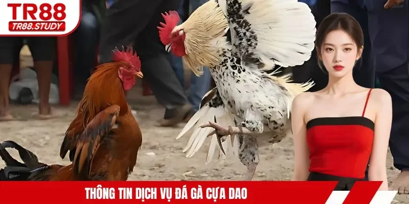 Đá Gà Cựa Dao TR88 - Tìm Hiểu Hình Thức Kê Chiến Siêu Hot - DIAMOND88.SBS