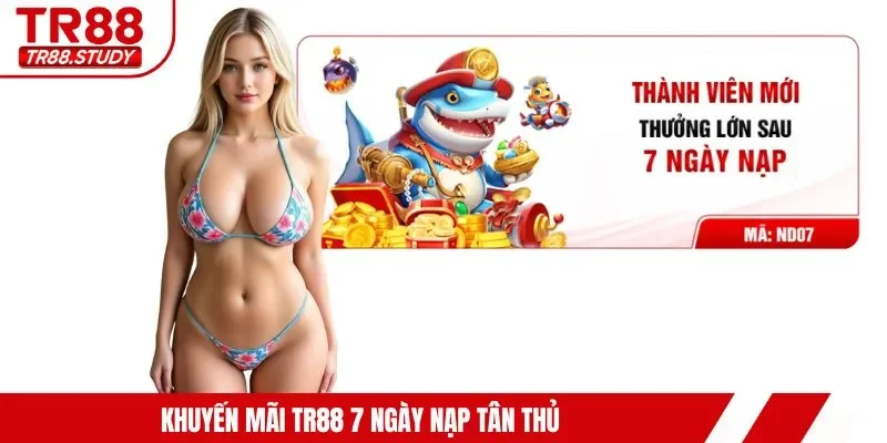 Top 4 Chương Trình Khuyến Mãi TR88 Nổi Bật Đang Áp Dụng - DIAMOND88.SBS