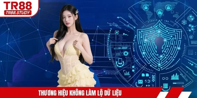 Quyền Riêng Tư TR88 - Sự Bảo Đảm Với Mỗi Một Hội Viên - DIAMOND88.SBS
