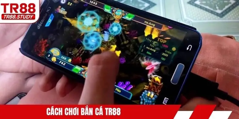 Tin Tức TR88 - Luôn Cập Nhật Xu Hướng Mỗi Ngày - DIAMOND88.SBS