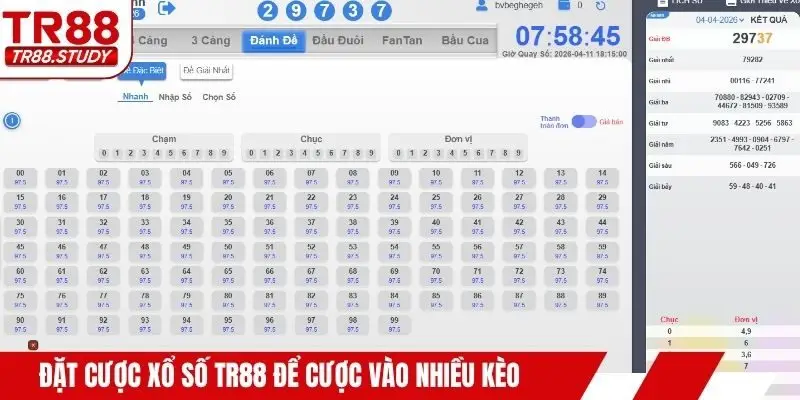 Đặt Cược Xổ Số TR88 – Cách Chọn Số Và Vào Tiền Chính Xác - DIAMOND88.SBS