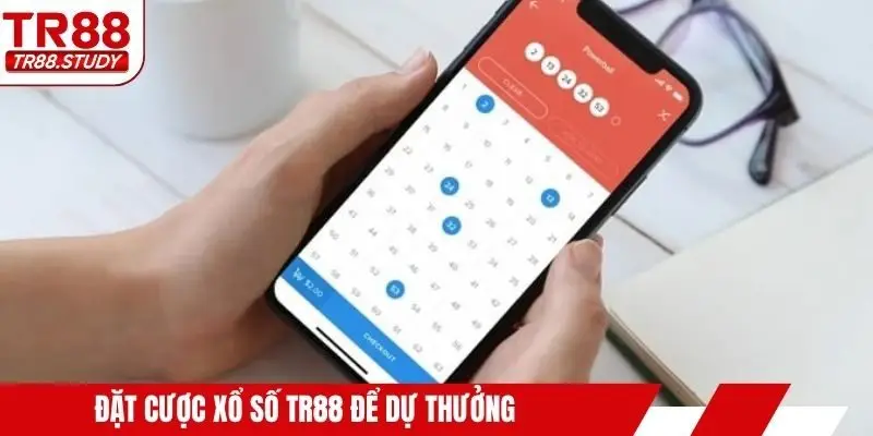 Đặt Cược Xổ Số TR88 – Cách Chọn Số Và Vào Tiền Chính Xác - DIAMOND88.SBS