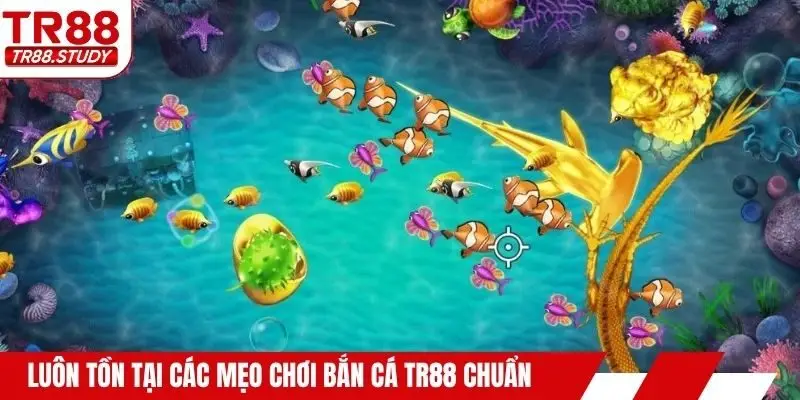 Mẹo Chơi Bắn Cá TR88 - Tip Săn Thưởng Bất Bại 2026 - DIAMOND88.SBS