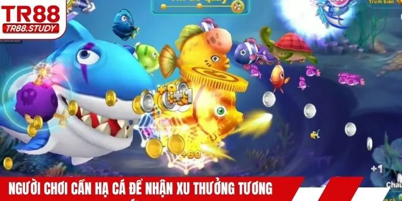 Cách Chơi Bắn Cá TR88 Và Cơ Hội Nhận Thưởng Siêu Tốc - DIAMOND88.SBS